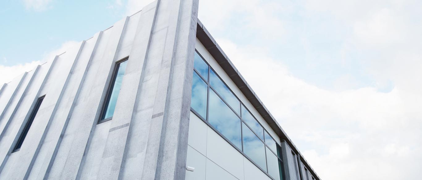 wilson head office 12